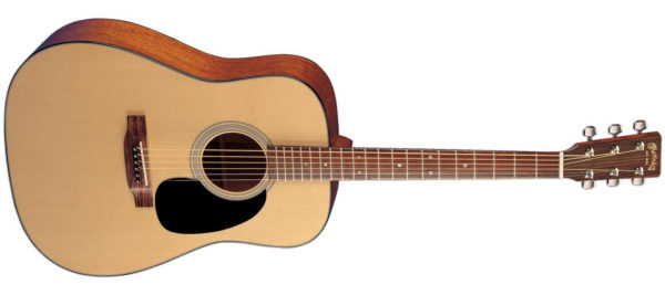 Martin D-18_acoustic guitar