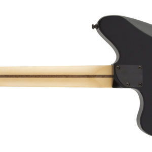 Fender Jim Root