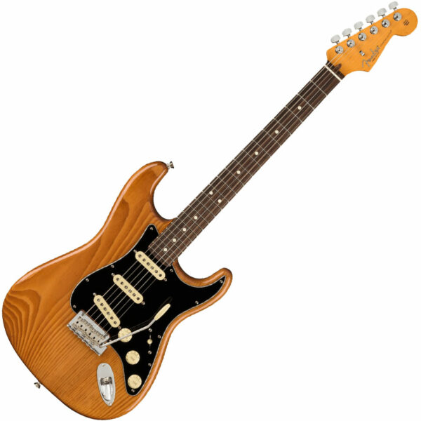 Professional II Stratocaster Roasted