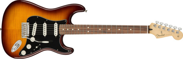 Player Stratocaster Plus Top