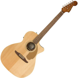 Newporter Player Acoustic Electric
