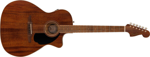 Fender Newporter Special Acoustic