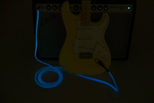 Fender Professional Series Blue