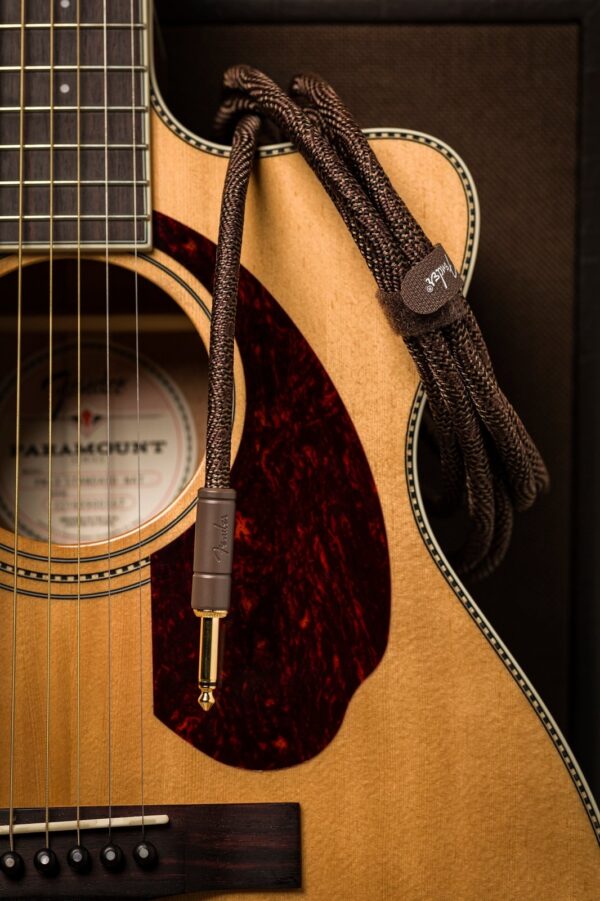 Fender Paramount Acoustic Instrument