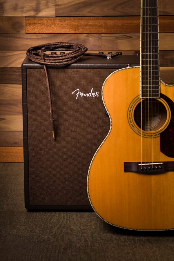 Fender Paramount Acoustic Instrument