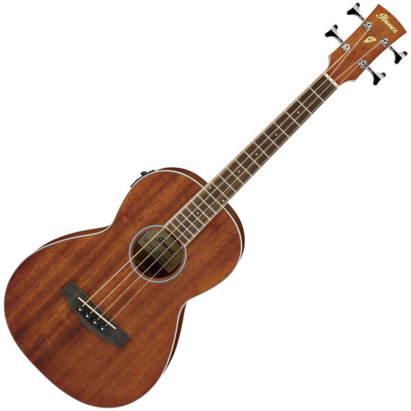 Ibanez PNB14EOPN Acoustic-Electric Bass