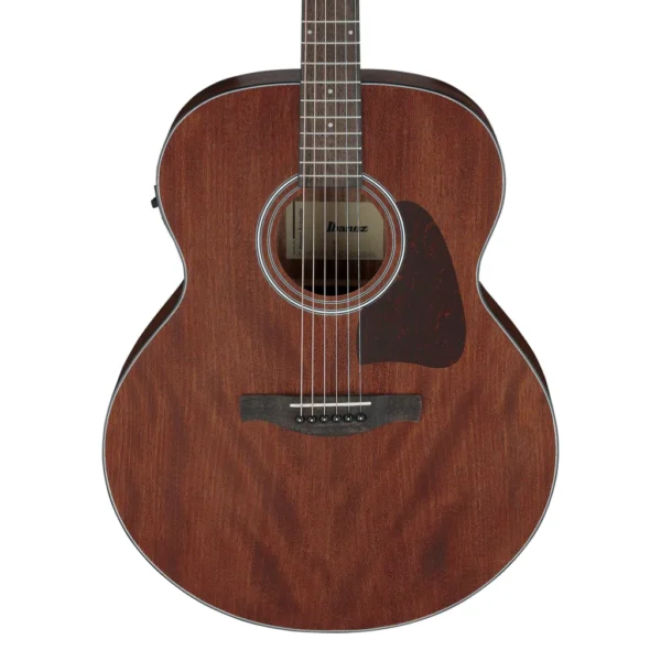 Ibanez AJ54EOPN