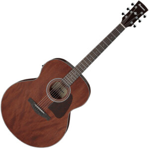 Ibanez AJ54EOPN