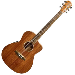Cole Clark SAN1EC-MMAH