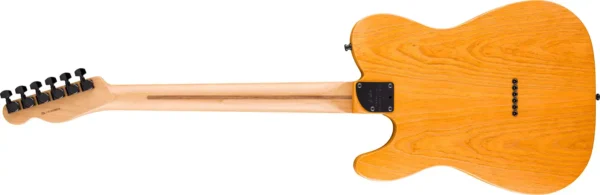 Fender American Professional