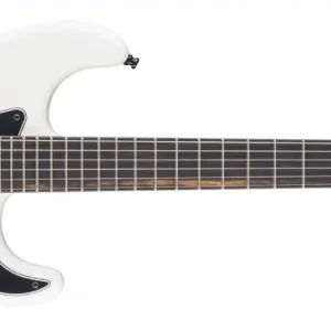 Fender Limited Edition Player