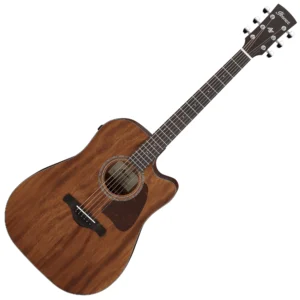 Ibanez AW1040CE
